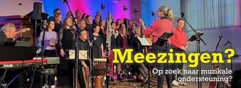 Website header meezingen